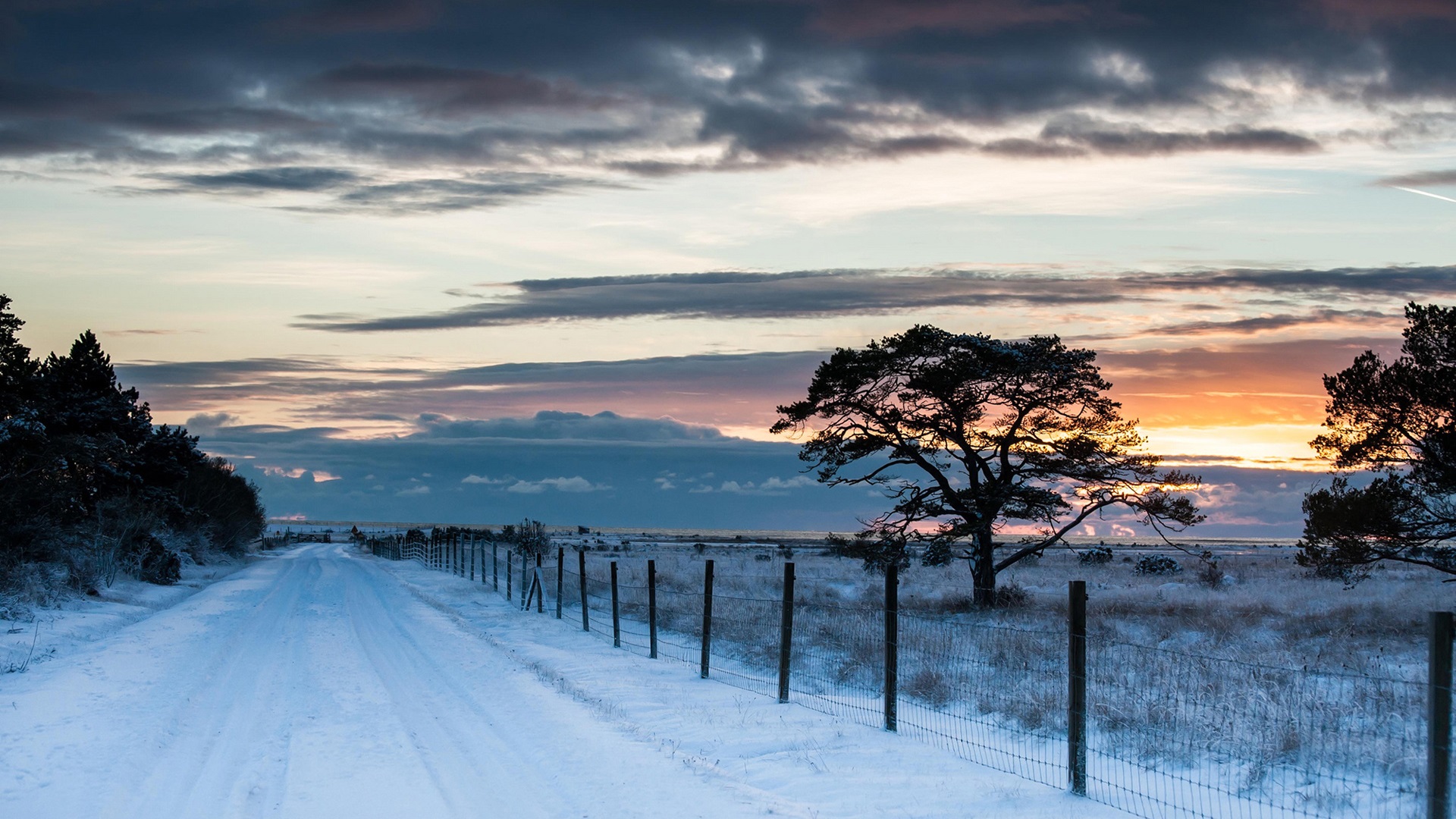 我想写一出最悲的悲剧，里面充满了无耻的笑声。