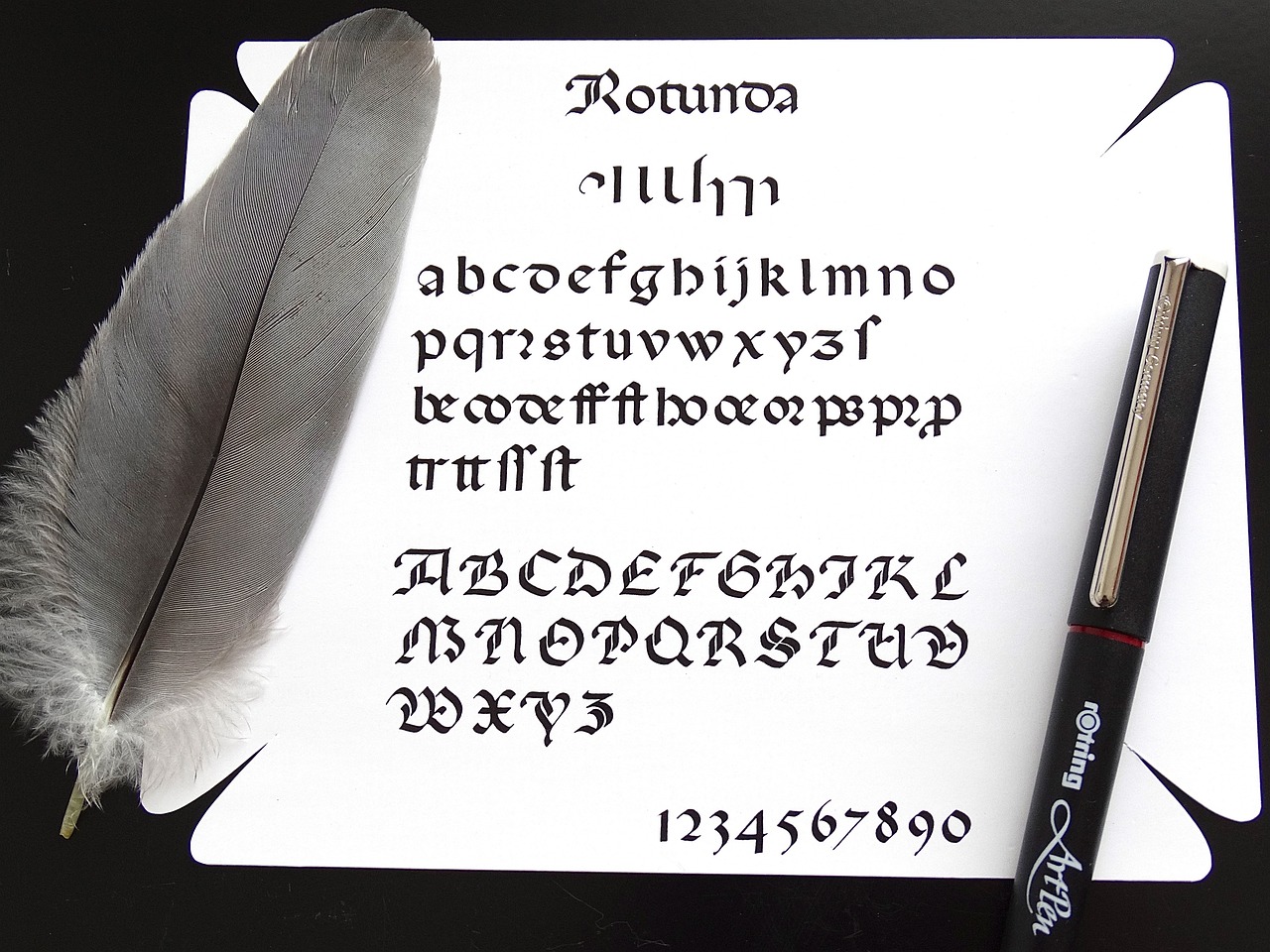 南开大学在天津招生_南开大学在天津招生人数2023