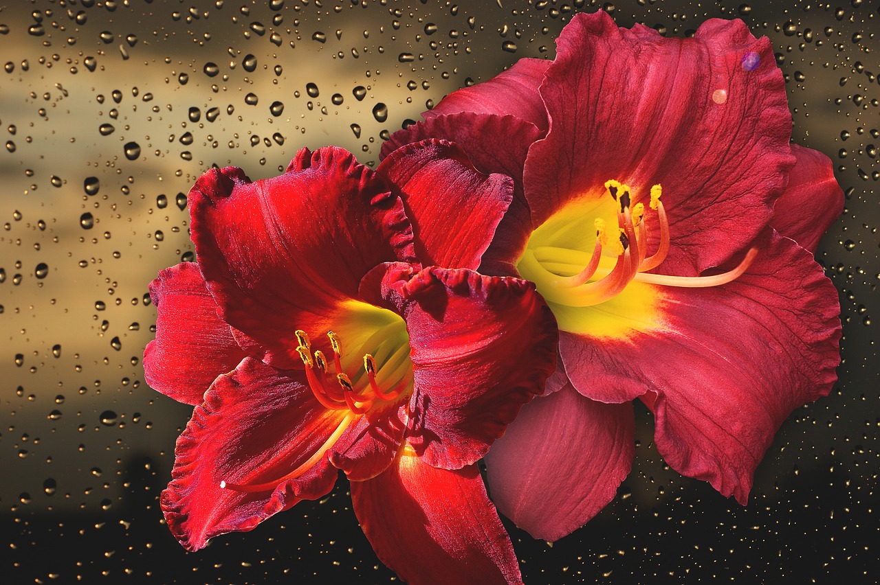 坐骑好看的网页游戏_有坐骑的网页游戏