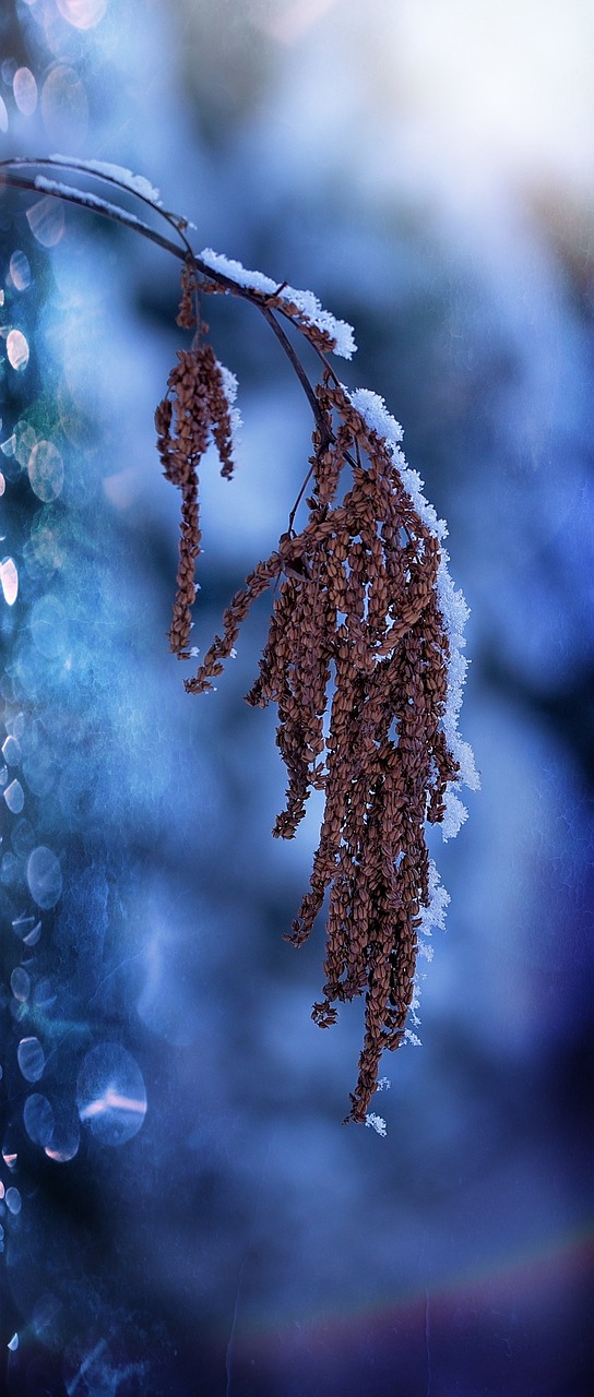 微观游戏攻略_微观 游戏 微观游戏攻略_微观 游戏