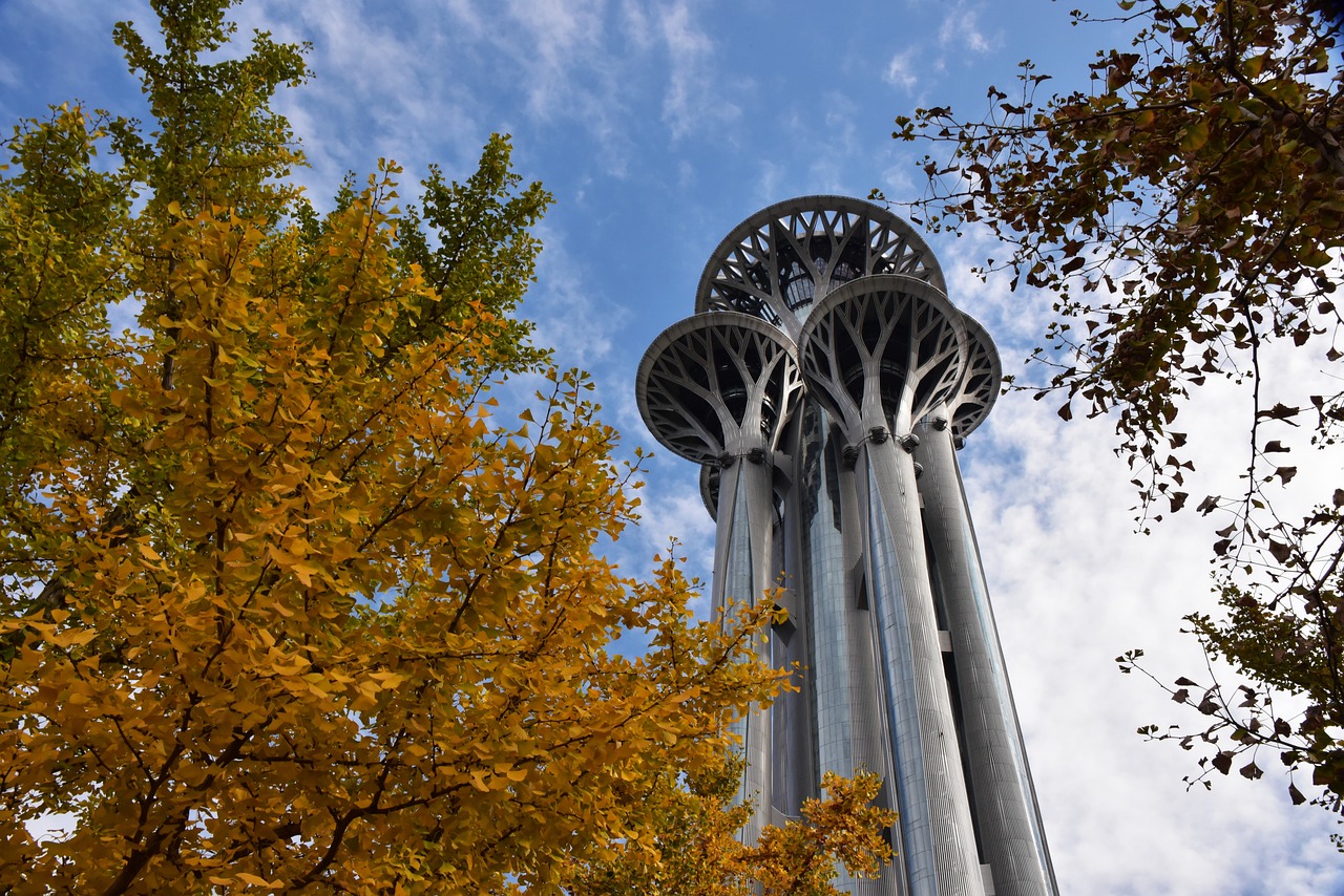 游戏forthelove攻略_for the love 游戏