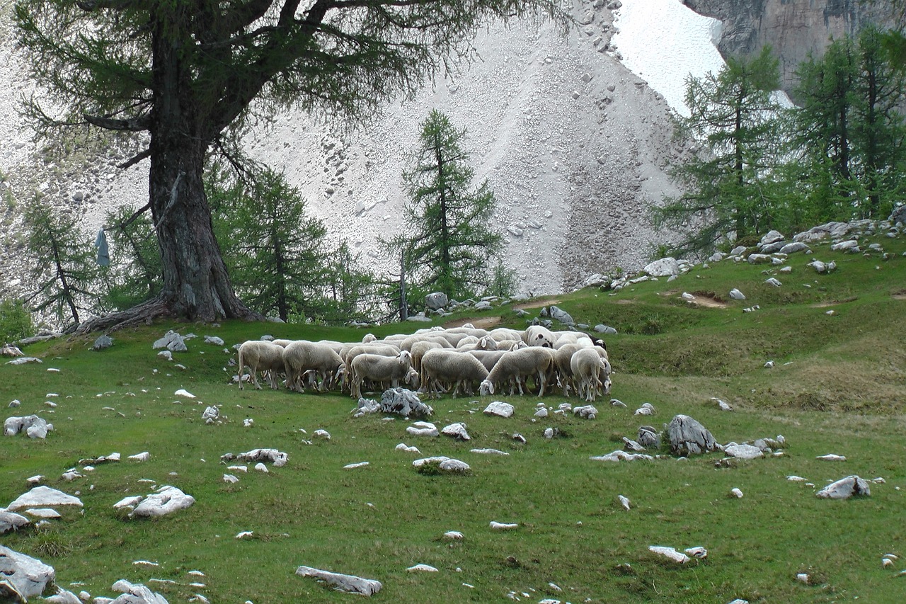 游戏古堡攻略_古堡 游戏