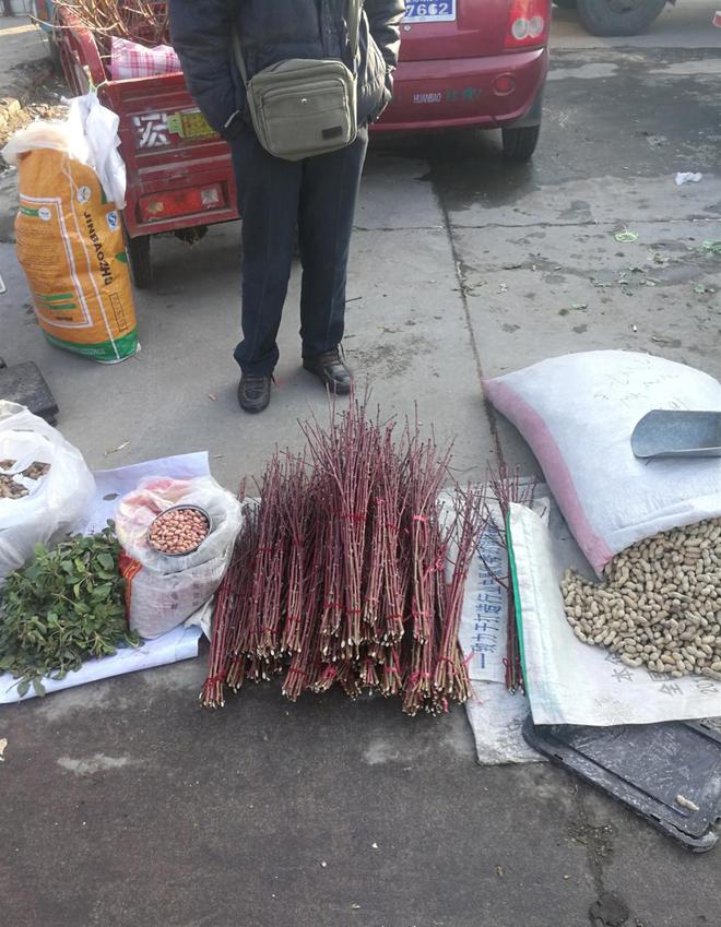 秋天农村做什么赚钱(秋天农村做什么赚钱最快)