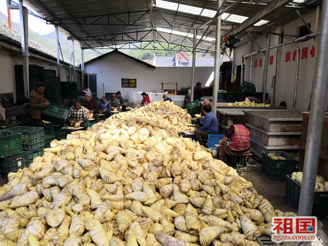 今年祁东做什么赚钱(今年祁东做什么赚钱最多)